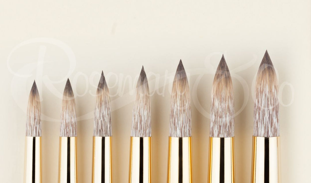 Rosemary &amp; Co. Eclipse Brush