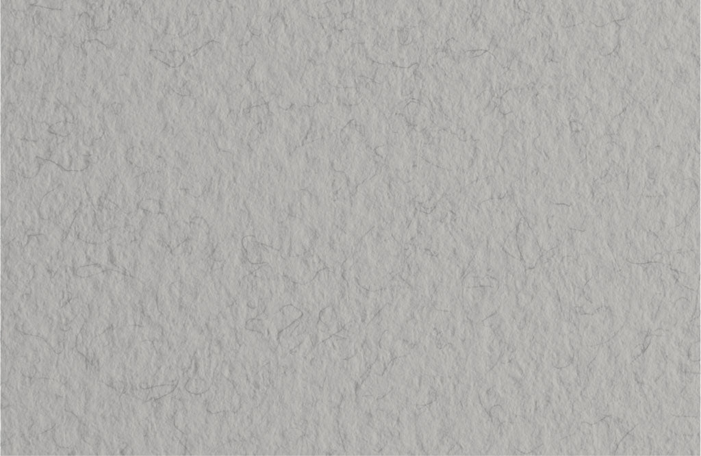 Feuille Gris Acier Tizano 20`` X 26 ``