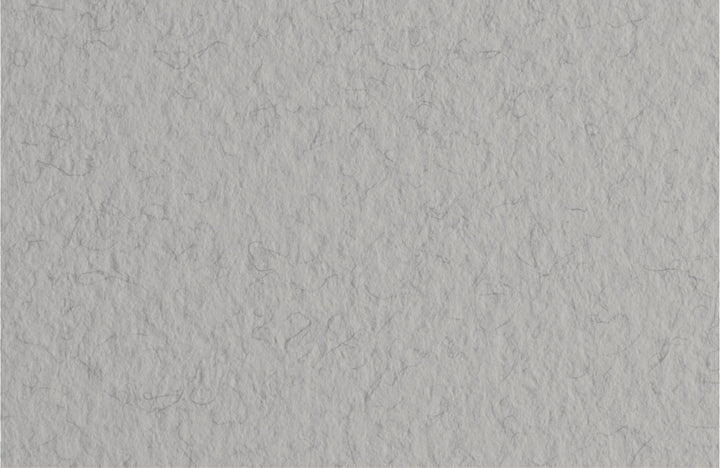 Feuille Gris Acier Tizano 20`` X 26 ``