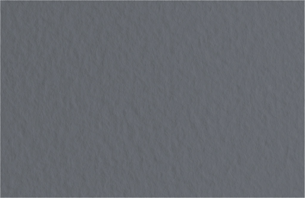 Feuille Fusain Tizano 20`` X 26 ``