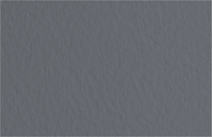 Feuille Fusain Tizano 20`` X 26 ``